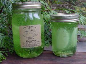 Fresh Honeydew Preserves Candles